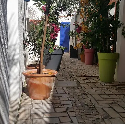 Casa Litoral Apartment